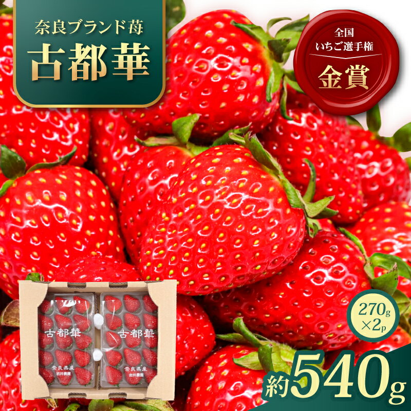 【ふるさと納税】 いちご 古都華 約540g 約270g×2パック 2027年1月発送 冷蔵 小分け 果物 スイーツ デザート フルーツ ベリー ふるさと納税いちご 大粒 採れたて 完熟 おやつ 産地直送 先行予約 数量限定 季節限定 ブランド 苺 イチゴ いちご 岩井農園 奈良県 奈良市