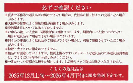 【2026年4月発送】 よかもんいちご 4品種食べ比べセット 8パック入り （計約2.16kg） よかもん苺 苺 いちご イチゴ 果物 果実 フルーツ 九州 福岡県 うきは市 冷蔵