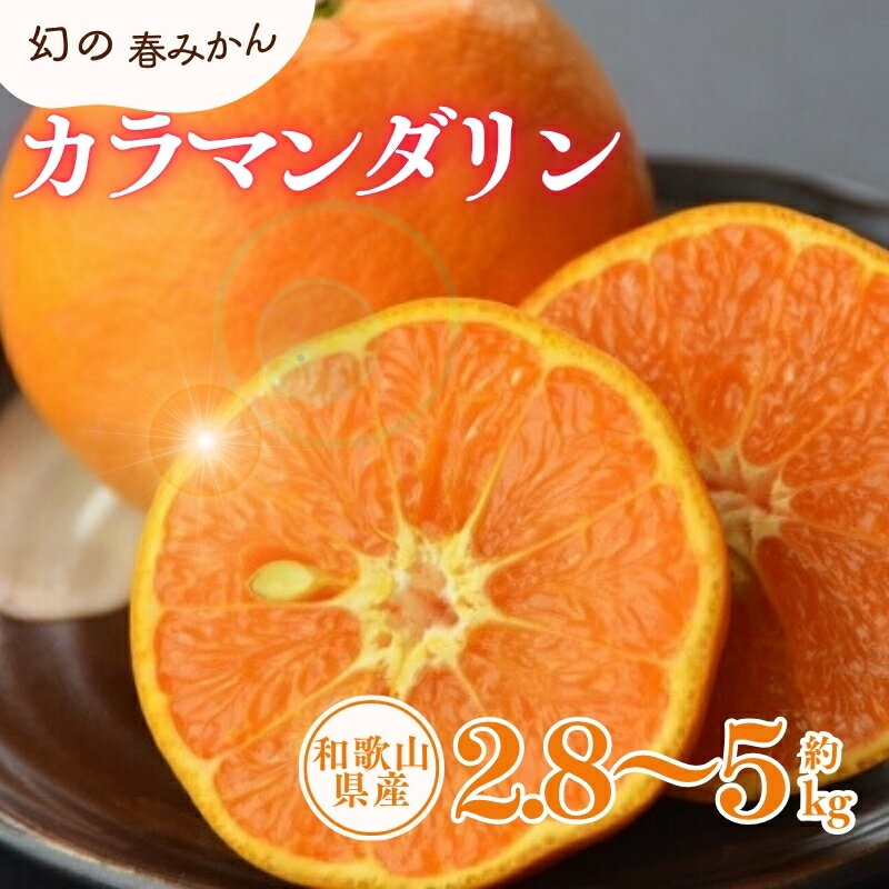【ふるさと納税】 カラマンダリン 約2.8kg 約5kg / サイズおまかせ ※2026年4月上旬〜5月上旬頃に順次発送予定(お届け日指定不可) 紀伊国屋文左衛門本舗