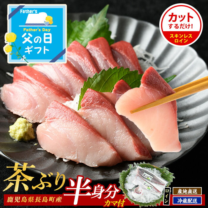 【ふるさと納税】＼父の日に最適／ 6/1決済完了で6/15までにお届け！高評価★4.8 鰤カマ 付！ 茶ぶり スキンレスロイン (片身分・2分の1カット済) 真空パック 長島町 特産品 緑茶 配合の餌 を食べた ブランド 鰤 産地直送 ぶり 刺身 海鮮丼【ウスイ】usui-1033R7