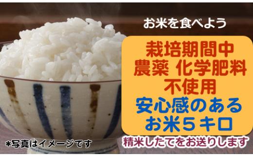 栽培期間中農薬・化学肥料不使用のお米