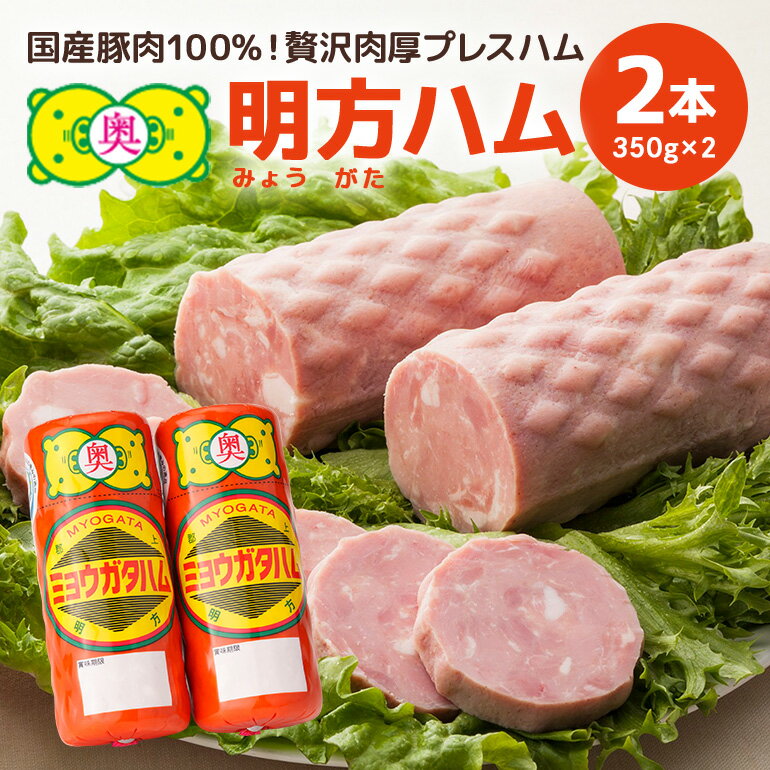 【ふるさと納税】明方ハム 2本セット│ハム セット 国産 豚肉 肉 惣菜 おかず 弁当 おつまみ ステーキ 国産豚肉 100% 熟成 プレスハム 冷蔵 精肉 肉加工品 加工品 ギフト 贈答用 贈答品 お歳暮 お中元 岐阜県 川辺町 (A-82/L-3)
