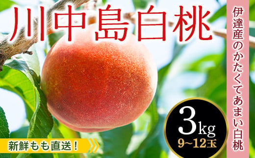 
            福島県産【新鮮もも直送】 川中島白桃 3kg 2025年8月中旬～2025年8月下旬発送 2025年出荷分 先行予約 予約 白桃 大玉 伊達の桃 桃 もも モモ 果物 くだもの フルーツ 国産 食品 F20C-606
          