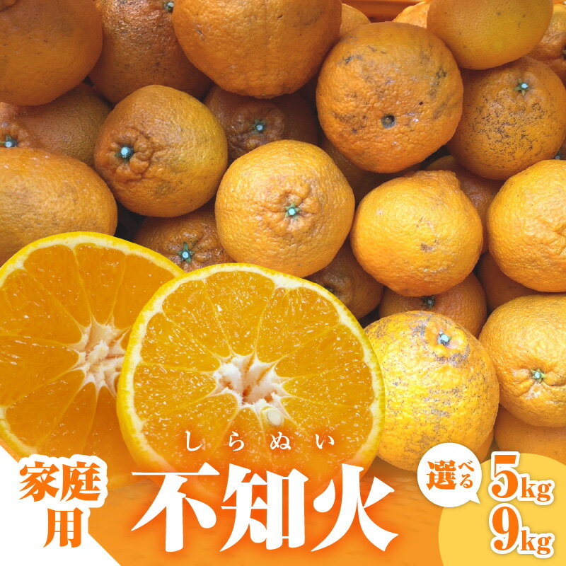 【ふるさと納税】ミカファーム 訳あり 不知火 5kg 9kg 家庭用 春頃発送 三重県 御浜町産【ジューシーかつ濃厚な味わい、プチプチと弾ける食感】