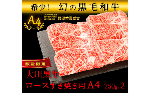 
【ふるさと納税】国産黒毛和牛 大川黒牛ロースすき焼き用スライスA4　250g×2　計500g　数量限定
