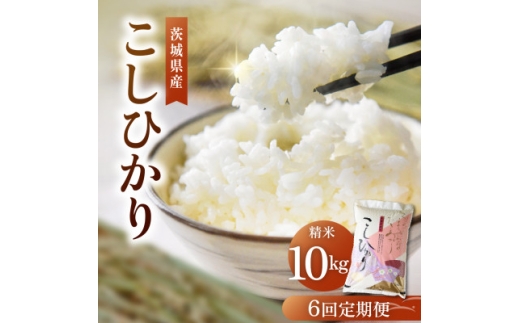 ＜毎月定期便＞コシヒカリ 精米 10kg | こしひかり 茨城県かすみがうら市全6回【4094325】
