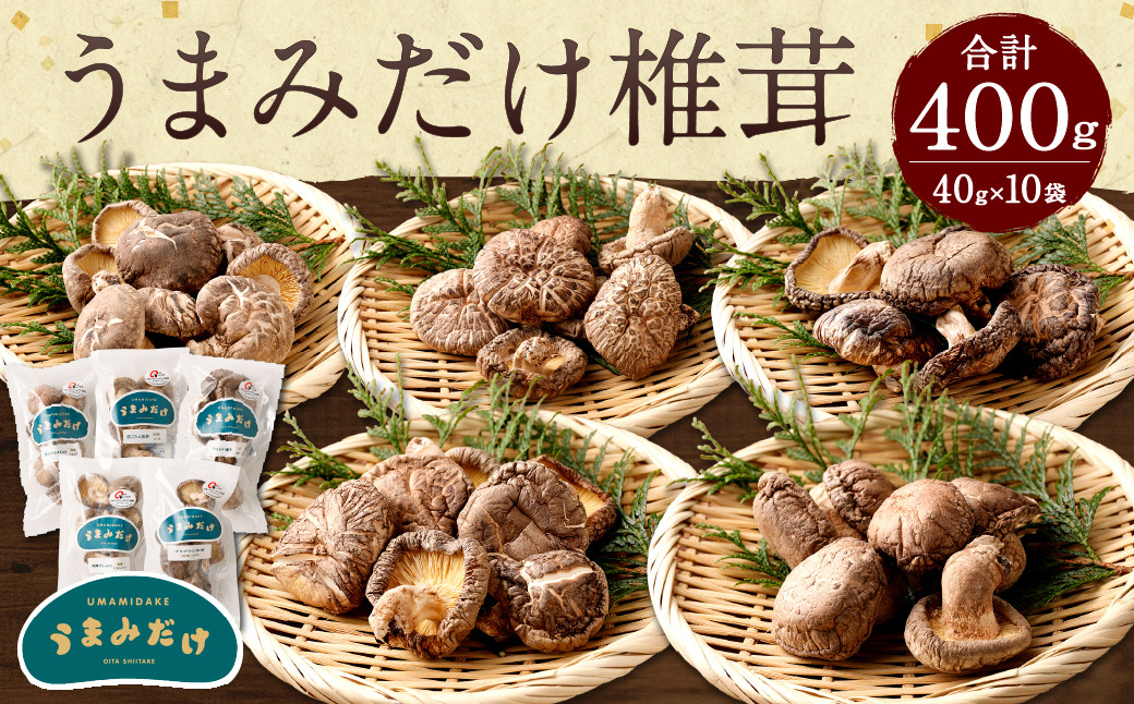 015-602x1 うまみだけ 食べくらべセット しいたけ きのこ 豊後大野市