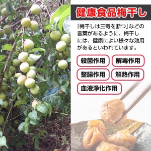 s432 ＜訳あり＞梅干し食べ比べ！はちみつ・はちみつ黒酢(計1.6kg・400g×各種2箱)【梅香丘】