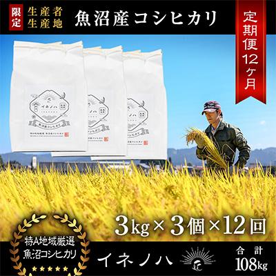 ふるさと納税 十日町市 【毎月定期便】魚沼産コシヒカリ「イネノハ」精米(3kg×3個)×12回【合計108kg】全12回