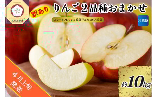 【2026年4月上旬発送】【訳あり】りんご 約10kg 青森産 【おまかせ2品種】【スマートフレッシュ貯蔵またはCA貯蔵・クール便】