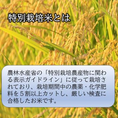 ふるさと納税 小国町 【令和8年産米先行予約】山形県小国町産　つや姫10kg(5kg×2袋)　小国米穀商業協同組合 |  | 01