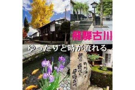 蓬莱・白真弓・飛騨娘★冷でも熱燗でも＋飛騨ラーメン４食付き[Q1560x]