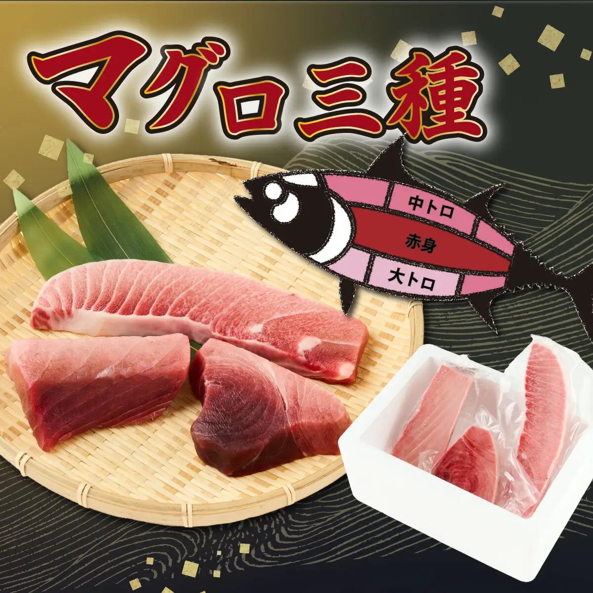 天然南マグロ 赤身中トロ大トロ 約650g マグロ ge003 FN-Limited-PR