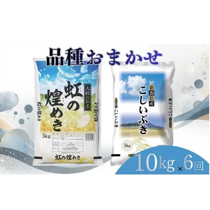 【6月下旬より配送】 新潟県産 品種おまかせ 10kg  6か月定期便 新潟県 新潟市産 令和7年産 お米 精米 米 ご飯 送料無料