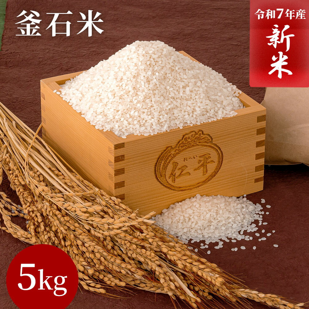【ふるさと納税】 釜石米 5kg 《令和7年産》 白米 精米 お米 ひとめぼれ あきたこまち 三陸 岩手県 釜石市 三陸産 釜石産 国産 産直 お取り寄せ 通販 おすすめ ギフト 贈り物 米 厳選米 国産 甘い お得 オリジナル米