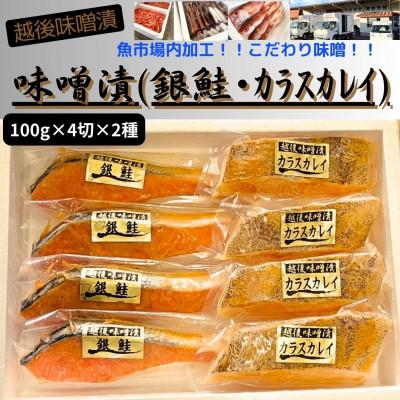 ふるさと納税 南魚沼市 【魚市場直送】越後味噌漬　漬魚(銀鮭・カラスカレイ)
