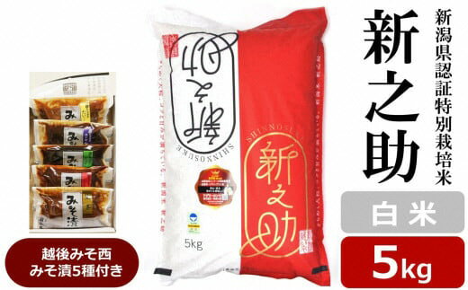 【ふるさと納税】【令和7年産新米】新之助 白米 5kg 新潟県認証特別栽培米 ＆ 越後みそ西みそ漬5種セット [Y0519]【 新潟県 柏崎市 】