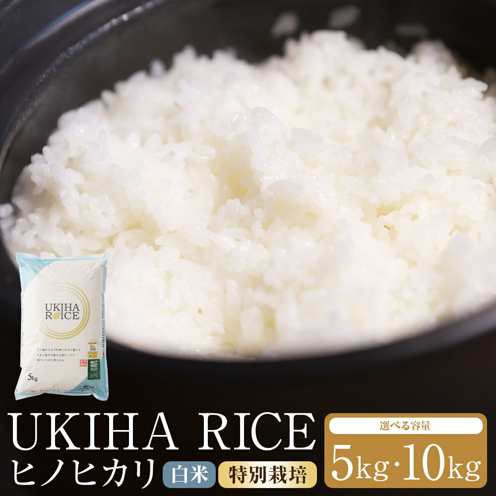 【ふるさと納税】＜選べる内容量＞UKIHA RICE 白米（特別栽培米） ヒノヒカリ 5kg / 計10kg（5kg×2袋） 令和7年産 お米 こめ 精米 単一原料米 ごはん ご飯 福岡県産 国産 福岡県 うきは市 送料無料 【2025年11月上旬から2026年3月下旬発送予定】