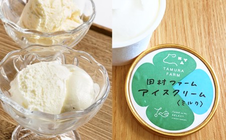 全６回★アイスクリームの定期便＜田村ファーム＞【定期便・頒布会特集】
