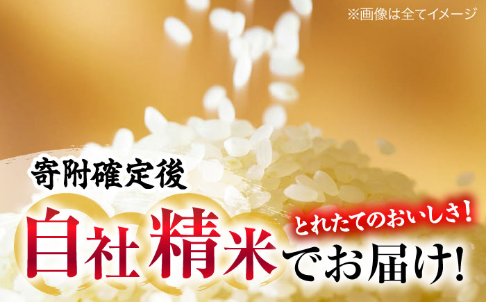 【全2回定期便】 米 盆地そだちこしひかり 5kg 令和7年産 米 こめ 白米 精米 ご飯 三次市 / 福田農場 [APBM028]