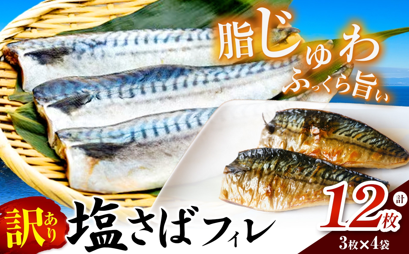 
                  訳あり 塩さばフィレ 3枚×4袋(約1.8kg)冷凍便にてお届け!おかずにぴったり!(武豊町)
                
