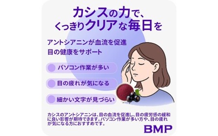 BMP カシスパウダー 500g（100g×5袋）（カシス濃縮果汁粉末）