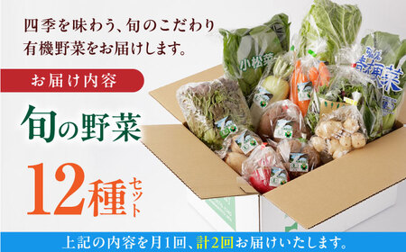 【全2回定期便】四季を味わう野菜セット【株式会社 肥後やまと】[YAF019]
