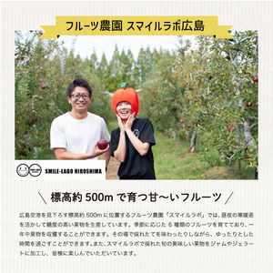 【無添加】【果汁100％】りんごジュース3本セット リンゴジュース 瓶 ビン ストレート 国産 砂糖不使用 059019