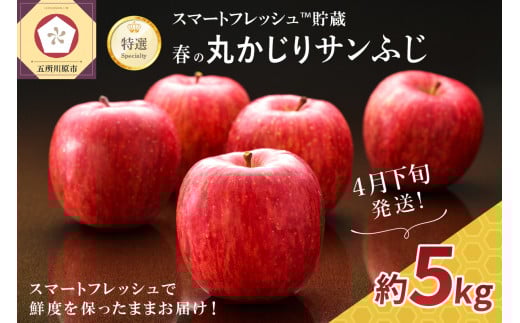 【2026年4月下旬発送】りんご春のサンふじ特選丸かじり5kgスマートフレッシュTM貯蔵