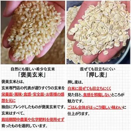 【白米に混ぜて簡単!】国産 押し麦ブレンド3.0kg(300g×10袋入り)【1632805】