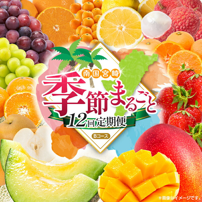 【ふるさと納税】【12回定期便】旬 人気 フルーツ 南国宮崎産 マンゴー ライチ 金柑たまたま シャインマスカット ピオーネ いちご みかん 日向夏 メロン 梨 柑橘 きんかん ぶどう 果物 詰め合わせ 宮崎県 九州 1年 毎月お届け＜Bコース M200＞