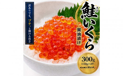 
                  訳あり いくら醤油漬け 鮭卵 化粧箱入 300g(150gx2P)  尾張まるはち
                