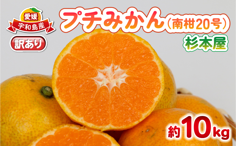 訳あり プチ みかん 南柑20号 10kg 杉本屋 わけあり 訳あり品 訳アリ 小玉みかん 小みかん 愛媛みかん 愛媛蜜柑 愛媛ミカン 温州 温州みかん 果物 くだもの フルーツ 柑橘 蜜柑 mikan 産地直送 数量限定 国産 愛媛 宇和島 B018-143027
