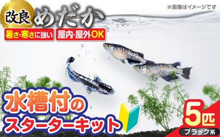 メダカ スターターキットアクアリュウムタワー クリアー[AEAK004]メダカメダカメダカメダカメダカメダカメダカ
