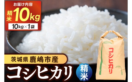 【先行予約】 新米 コシヒカリ 米 10kg 精米 白米 ブランド米 数量限定 国産 おむすび おにぎり 弁当 美味しい グルメ 白飯 飯 ごはん ご飯 コメ おこめ こめ ※ okome kome 朝食 贈答 贈り物 お取り寄せ 産地直送 ギフト こしひかり 鹿嶋市産 令和8年産 茨城県 鹿嶋市 【10月以降順次発送】