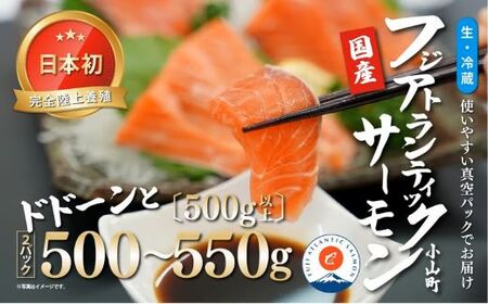 フジ アトランティック サーモン （ 2パック 500g以上 ） 国産 生食用 サーモン