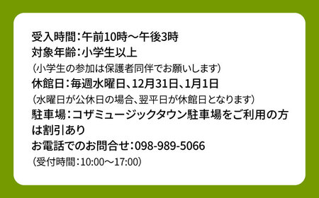 エイサー体験 (5名様) エイサー 沖縄 旅行 体験チケット 体験型 沖縄市 / エイサー会館[BCCF005]