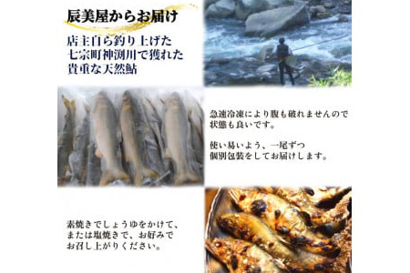 【2607-2568】※岐阜県産天然鮎七宗町産(18cm以上)