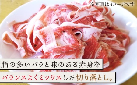 黒毛和牛ハンバーグ 4個＆切り落とし 400g / ハンバーグ 牛肉切り落とし [IAX026]