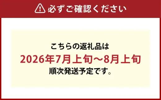 晴王 つる付きシャインマスカット 2房 （ 1房580g以上 ） ハウス栽培 シャインマスカット くだもの 果物 果実 フルーツ ぶどう 葡萄 マスカット 果汁 【 2026年7月上旬～8月上旬発送予