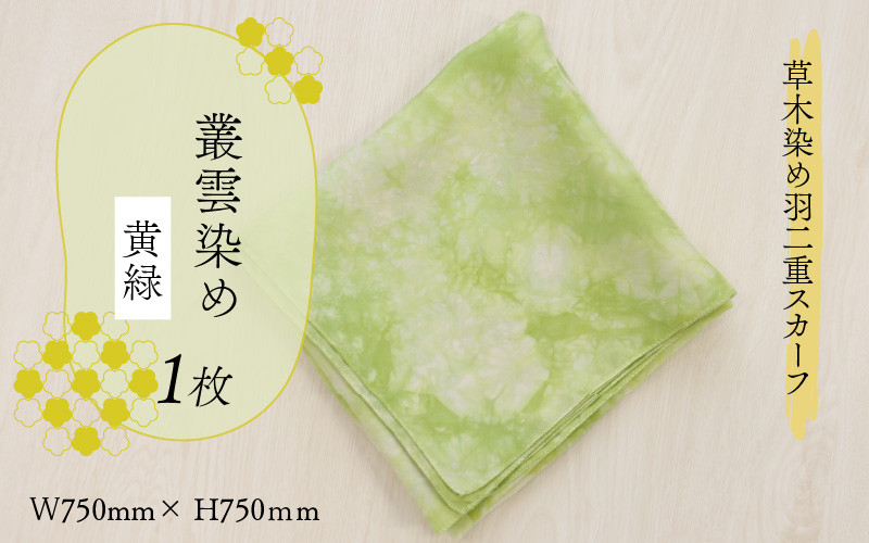 
                  草木染め羽二重スカーフ 黄緑 叢雲染め [A-053001]
                