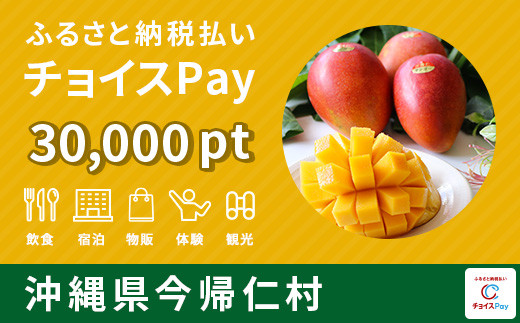 
今帰仁村 チョイスPay 30,000ポイント【会員限定のお礼の品】
