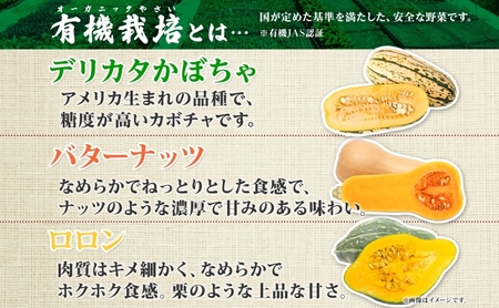 【2026年発送】北海道 オーガニック ３種 の かぼちゃBOX 計約4kg カボチャ デリカタ ミニバターナッツ ロロン 南瓜 有機野菜 野菜 有機栽培 JAS 産直 産地直送 国産 ニセコグリーン