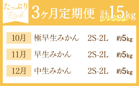 【3ヶ月定期便】みかん 定期便 秀品 温州みかん リッチ 計15kg 日本フルーツ株式会社《10月上旬-12月末頃出荷》熊本県 長洲町 ミカン 蜜柑 柑橘類 極早生 早生 中生 果物 フルーツ