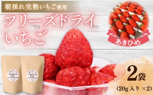 【いちご】おかげさまです杉山農園のフリーズドライイチゴ　40g 朝摘み ドライ いちご ドライフルーツ 果物 いちご イチゴ 苺 フルーツ くだもの スイーツ デザート ストロベリー おやつ 完熟 直送 ギフト 家庭用 贈答用 贈答 ギフト 贈り物 甘い ブランド ジャム スムージー アレンジ フルーツ ビタミン 農家直送 朝採れ ベリー 産地直送 国産 おすすめ カロリー 乾燥 静岡県 牧之原市