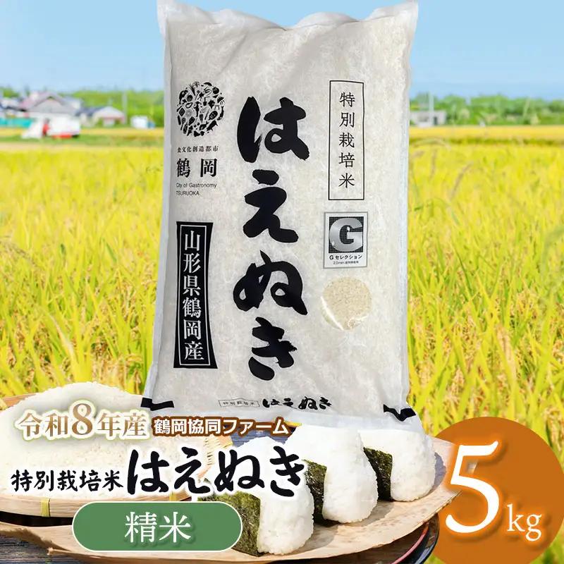 【令和8年産先行予約】特別栽培米はえぬき　精米5kg　(5kg×1袋)　山形県鶴岡産　鶴岡協同ファーム