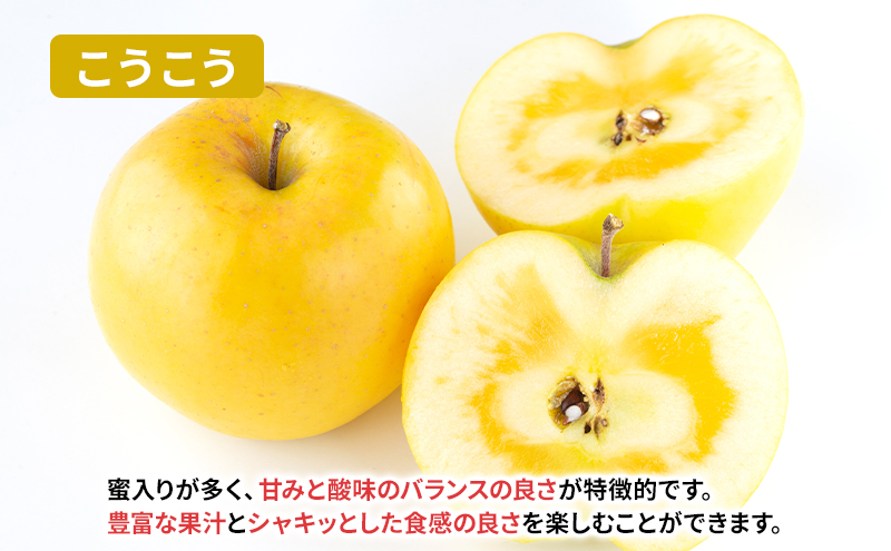 【11月から発送】 りんご 盛岡から「農で人をつなぐ」藤与果樹園： こうこう 約3kg 6～11玉 玉数指定不可 詰め合わせ 岩手 盛岡