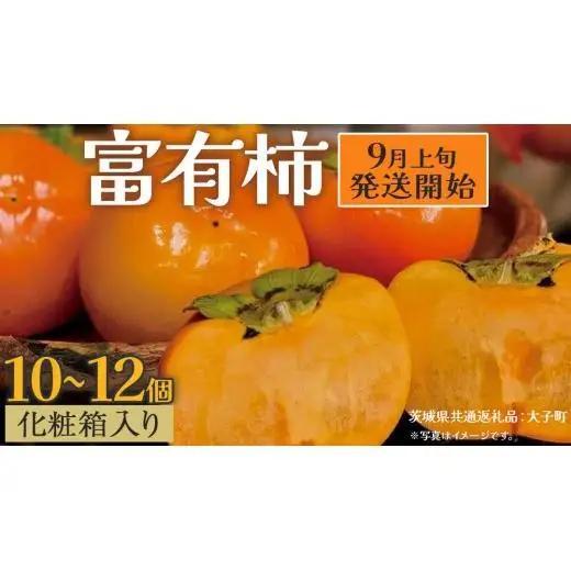【化粧箱入り】富有柿10～12個【2026年9月上旬発送開始】(茨城県共通返礼品：大子町) 柿 かき カキ 果物 フルーツ 旬 季節限定 期間限定 贈答用 ギフト 贈り物
