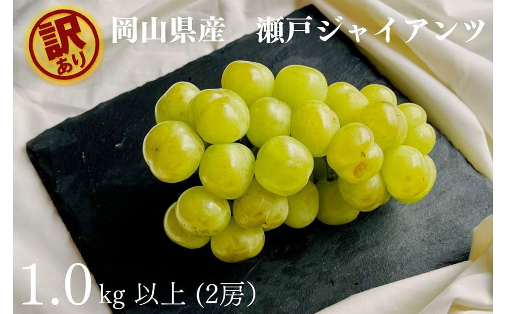 
            訳あり 瀬戸ジャイアンツ 2房 合計1.0kg以上 産地直送 朝採れ ぶどう 葡萄 岡山 Kawahara Green Farm 岡山県産 【2025年9月上旬～10月下旬 順次発送予定】
          