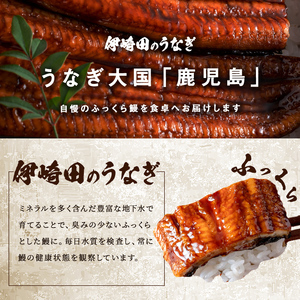 【ギフト対応】【数量限定】鹿児島県産 伊崎田のうなぎ蒲焼 大＜170g以上＞× 2尾(計340g以上) 鰻 うなぎ ウナギ 蒲焼き 2尾 国産 九州産 鹿児島県産 冷凍 おつまみ 鰻重 うな丼 ギフト